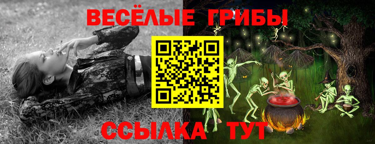 Нефтекамск  Галлюциногенные грибы Cubensis  Вход с VPN 